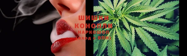 гидропоника Богданович